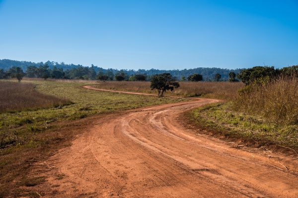 Dirt Driveway Repair in Greenwood