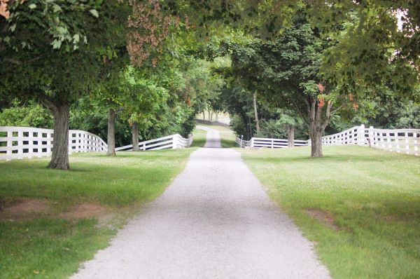 Gravel Driveway Construction in Greenwood
