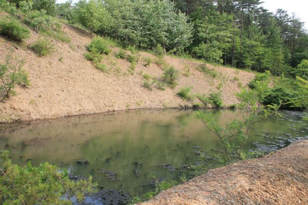 Cost of Pond Erosion Repair in Greenwood