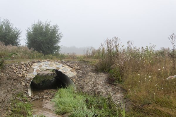 Culvert Excavation in Greenwood