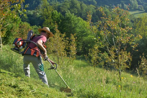 Slope Trimming in Greenwood